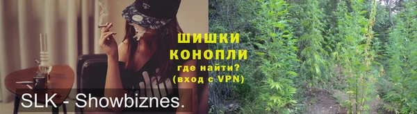 ешки Дмитриев