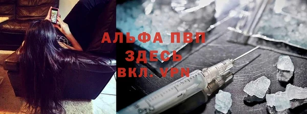 ешки Дмитриев