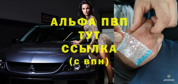 винт Елабуга