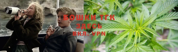 ешки Дмитриев