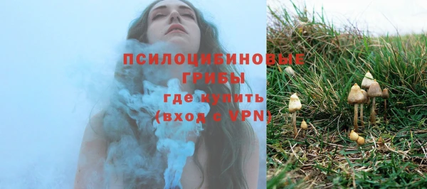 амф Дмитровск