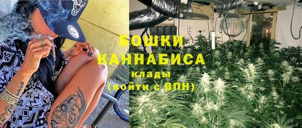 ешки Дмитриев