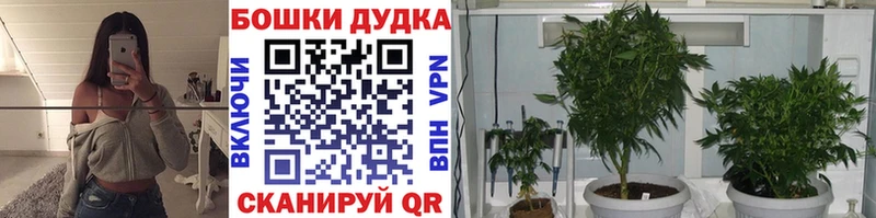 Конопля White Widow Купить Арсеньев